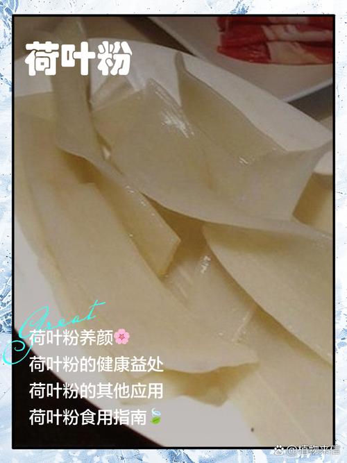 苦瓜粉荷叶粉真的能疯狂减脂肪吗？