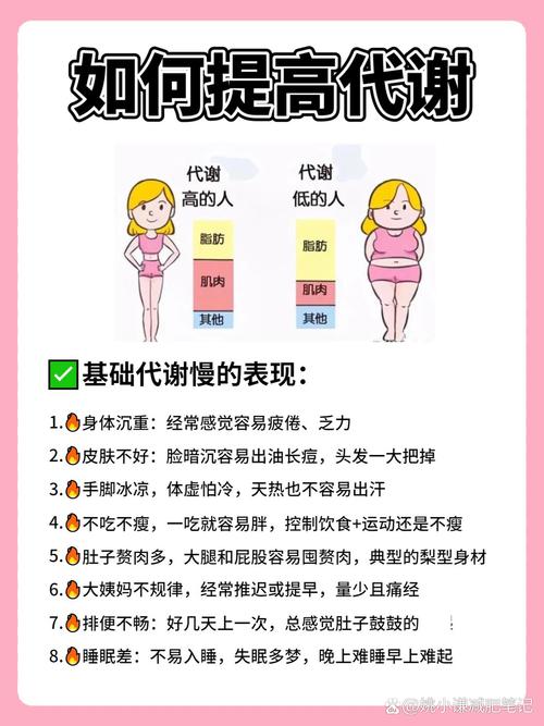 为什么人体代谢速度越快，减肥效果就越显著？