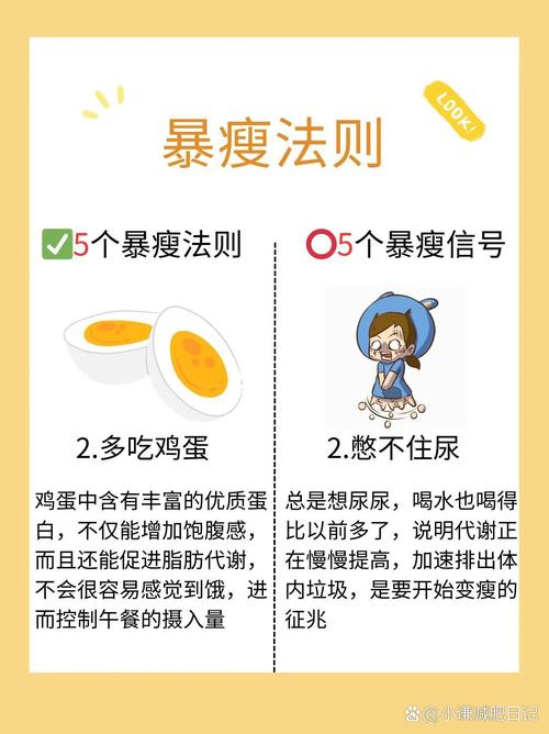 哪八条定律是减肥成功的关键？