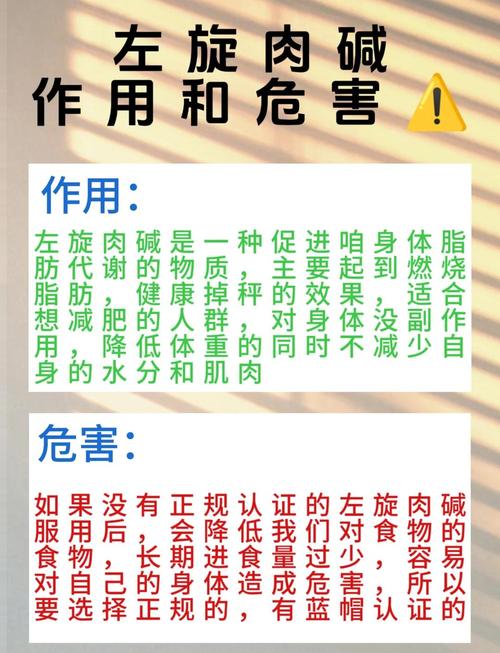 左旋肉碱应该怎么正确服用以达到最佳效果？