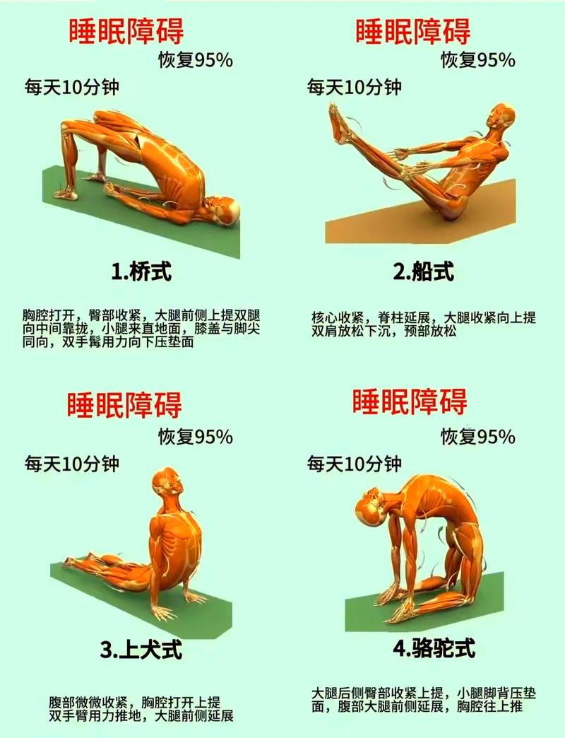 如何通过5分钟4式枕头操快速塑造完美体态？