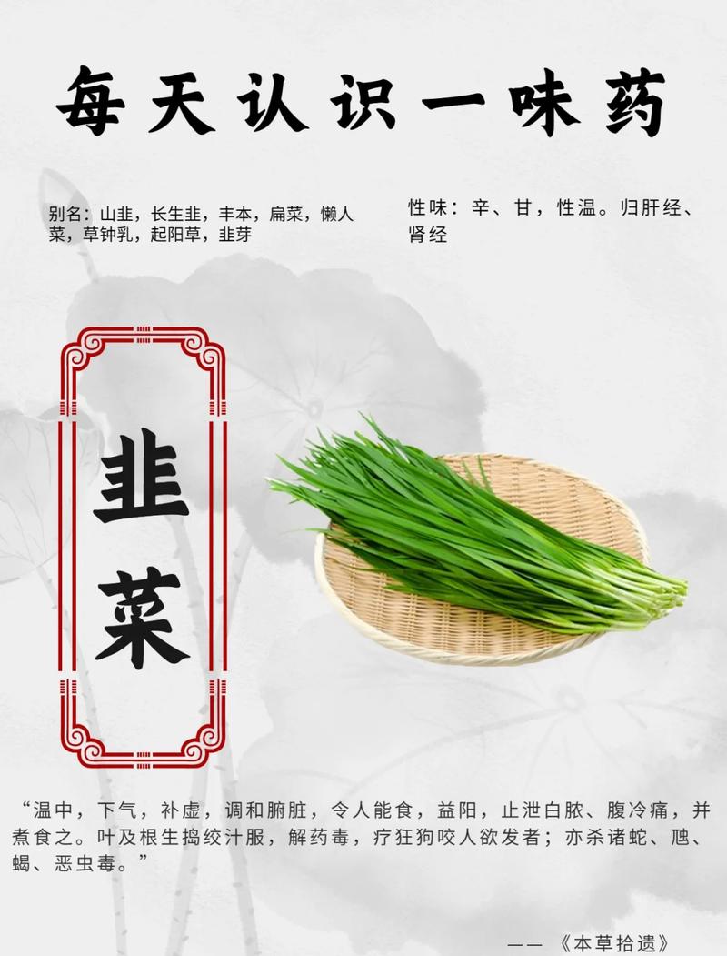 韭菜减肥法真的能持续瘦身不反弹吗？