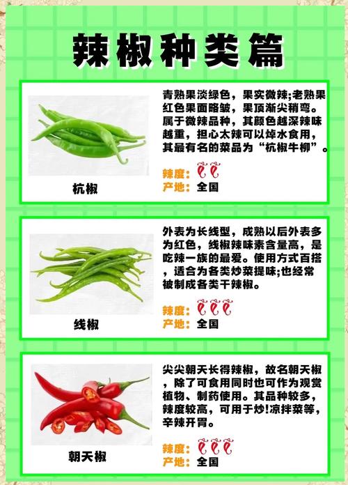 辣椒真的能帮助减肥吗？燃烧吧脂肪！