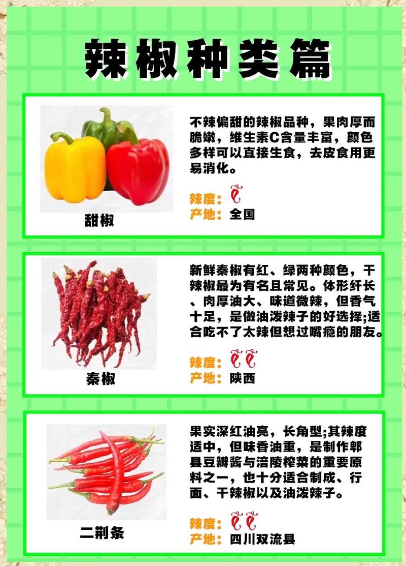 辣椒如何通过三种独特方式助力减肥效果？