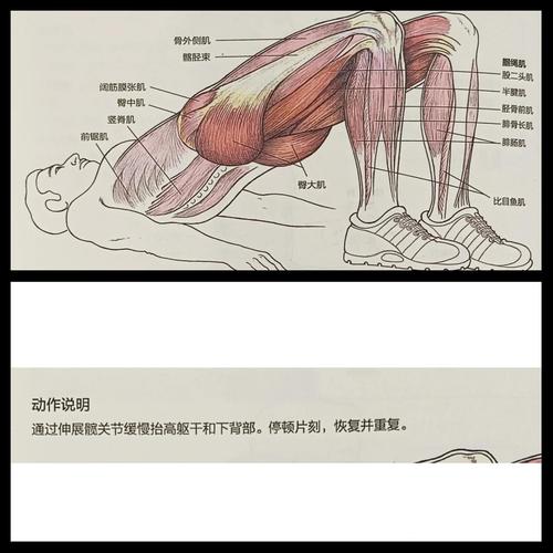 如何打造完美下半身曲线，塑造魔鬼身材？