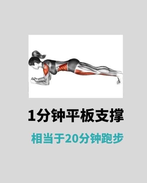 平板支撑真的嫩帮助我有效减掉腹部脂肪吗？