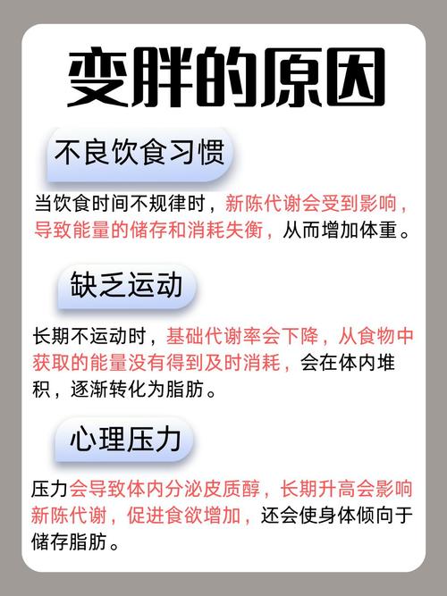 白领女性为何容易发胖？五大原因