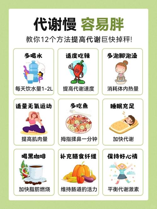 如何做到基础代谢只增不减，而不是逐渐下降？