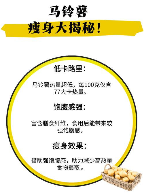 运动后应该选择哪种减肥蔬菜，马铃薯适合吗？