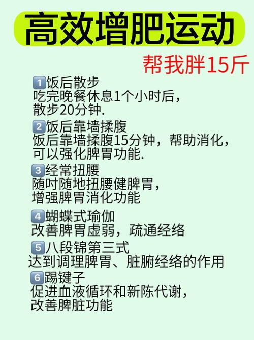 中年胖男如何同过自助减肥实现健康瘦身？