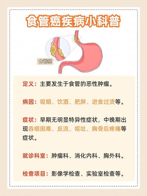 肥胖患者为何更容易患上食管癌呢？这是否与某些研究有关？