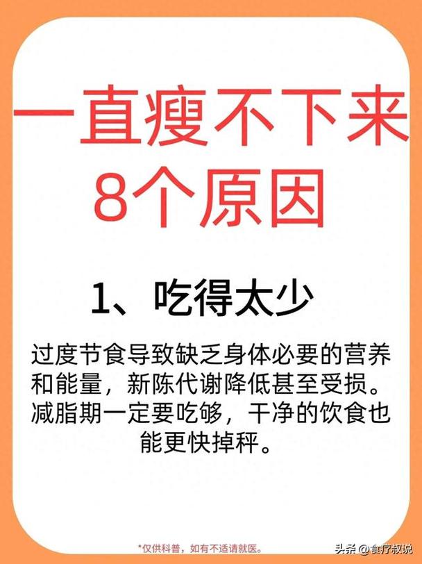 为什么踩了营养减肥雷区却瘦不下来？