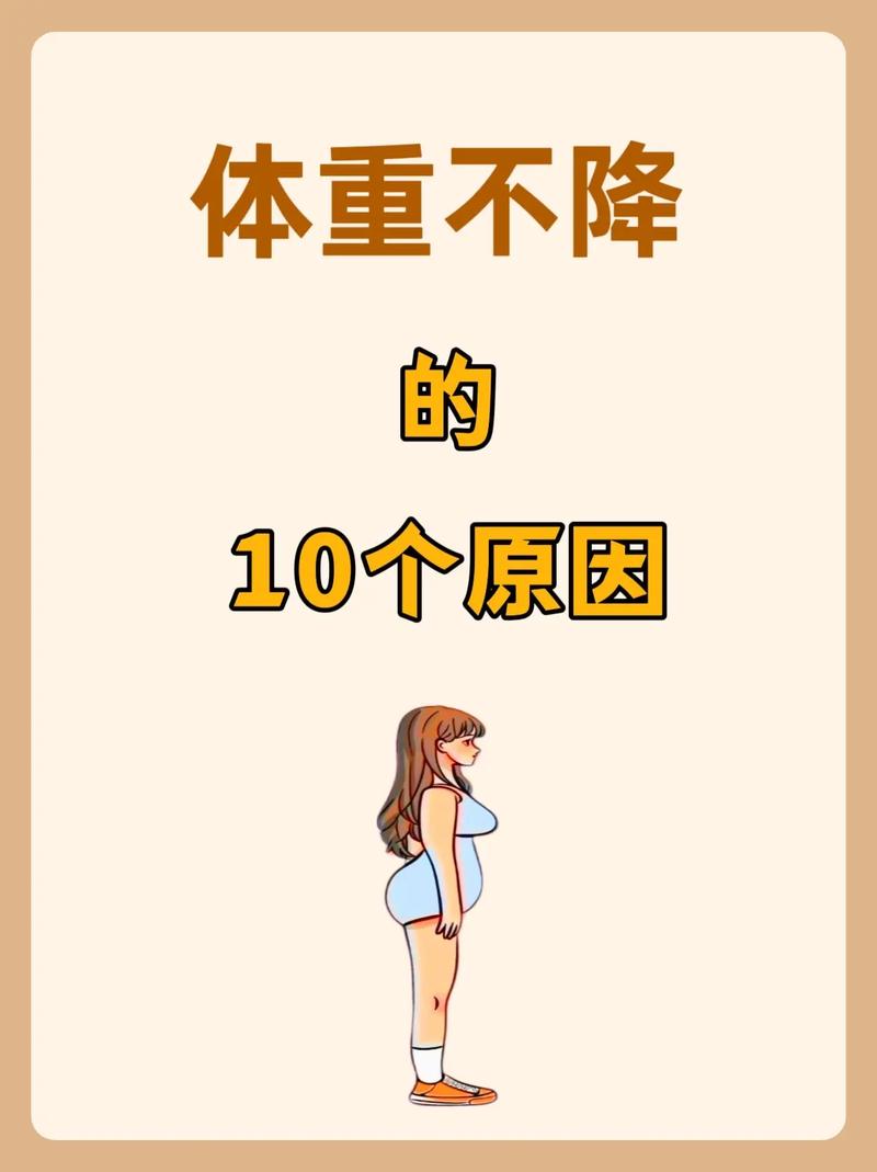 为什么白领容易在减肥前出现体重增加的现象？