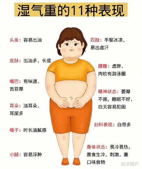 肥胖是否与体内湿气、痰湿以及体质虚弱存在关联呢？