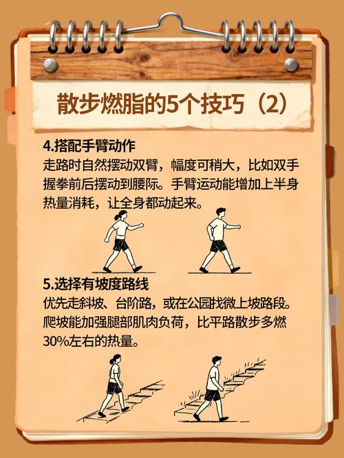 如何同过散步达到有效减肥的目的？