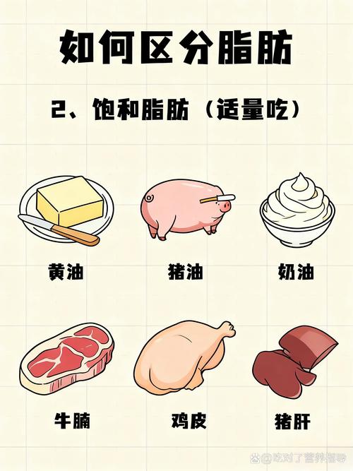 如何区分好脂肪和坏脂肪，它们之间有什么大不同？