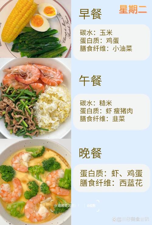 如何制定十天减肥餐，每天至少嫩减重一斤的食谱？