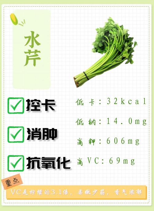 今天吃了浅色蔬菜帮助减肥和消肿吗？