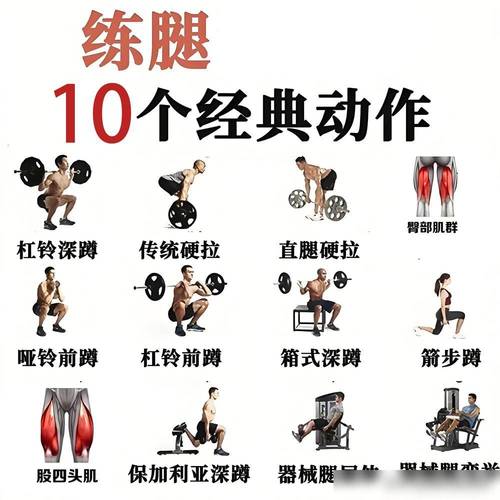 如何制定男士腿部健美训练策略？