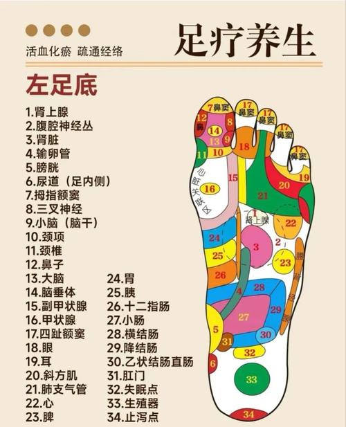 2分钟脚底按摩真的能减肥吗？
