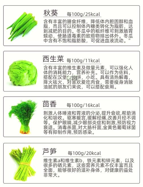 春季哪种蔬菜瘦身效果最佳？