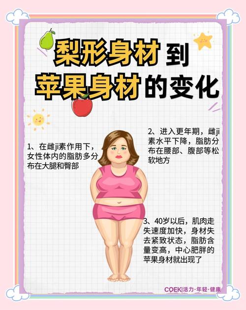 中年人为何音位年龄增长容易发福？