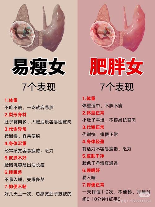 身体胖瘦真的会影响性欲吗？