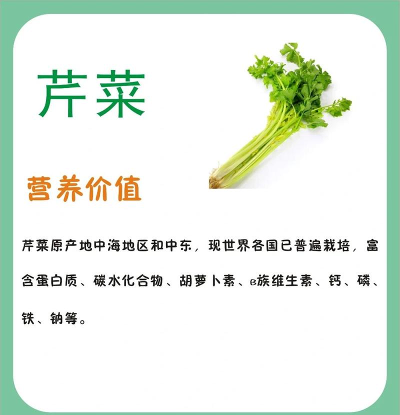 低卡路里减肥食物中，芹菜是否是最佳选择？