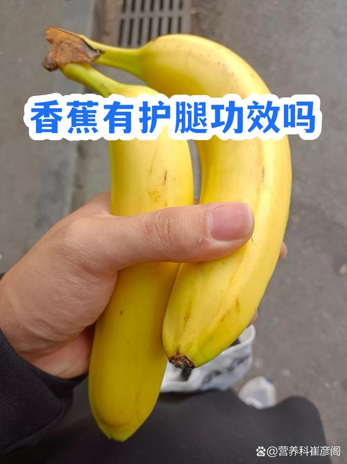 有哪些日常养生食物可以替代香蕉护腿？