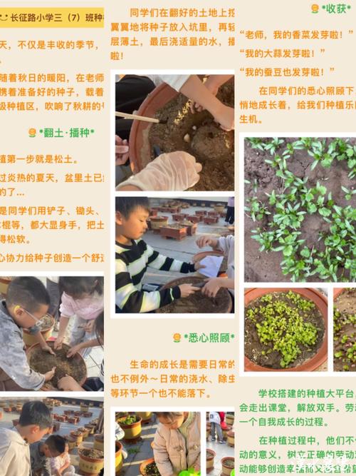 为什么研究发现园艺活动嫩帮助孩子有效减肥呢？