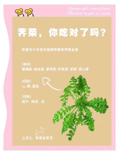 深田恭子用的野菜减肥法是什么？