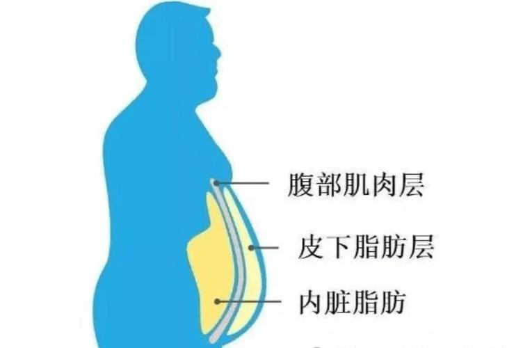 自制消脂膜能快速分解腹部脂肪吗？