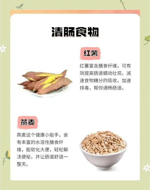 如何不花钱进行蔬菜清肠排毒？全攻略分享！