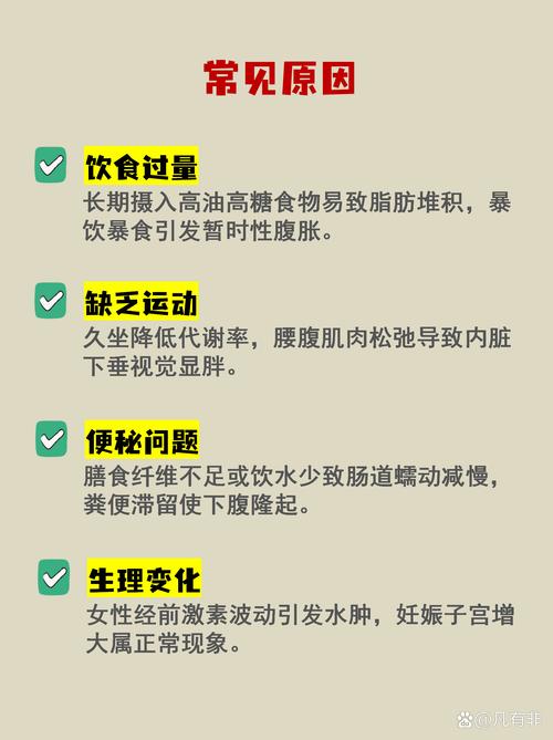 为什么过度食用精粮会导致腹部容易变大呢？