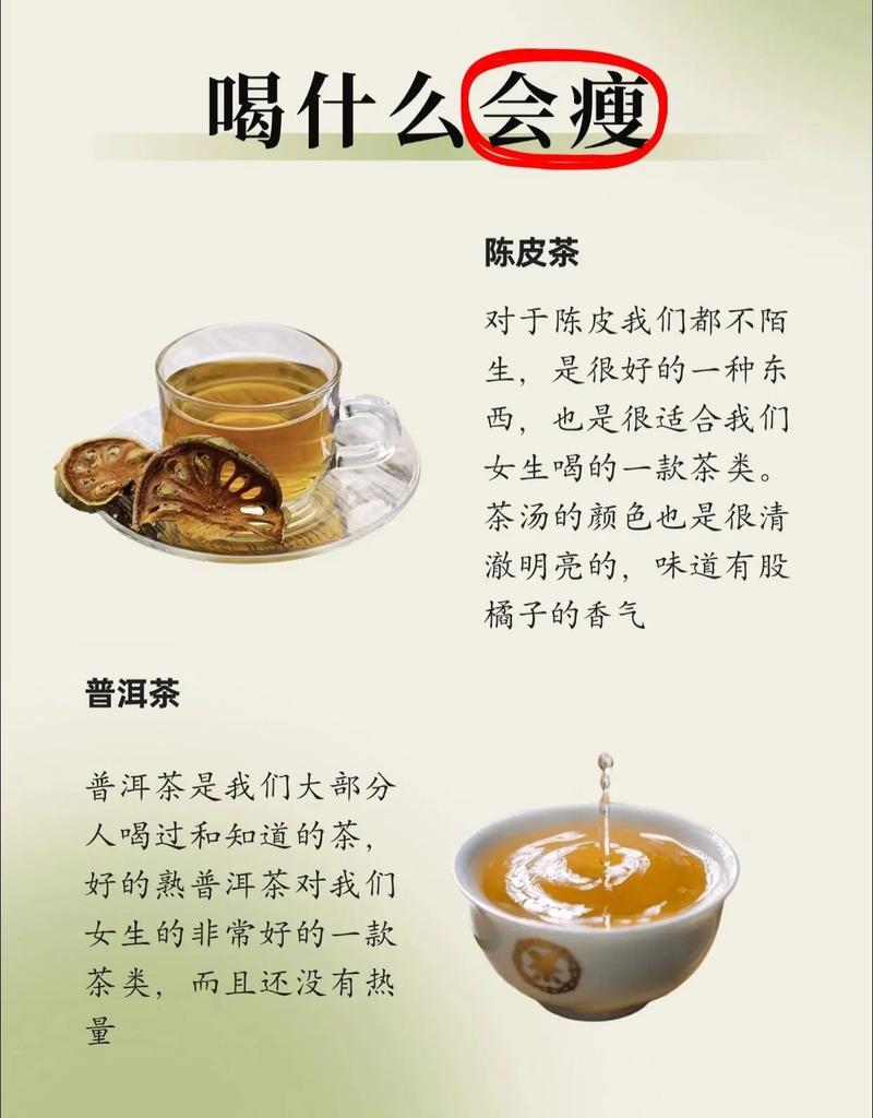 普洱茶和绿茶的减肥机制有何不同？