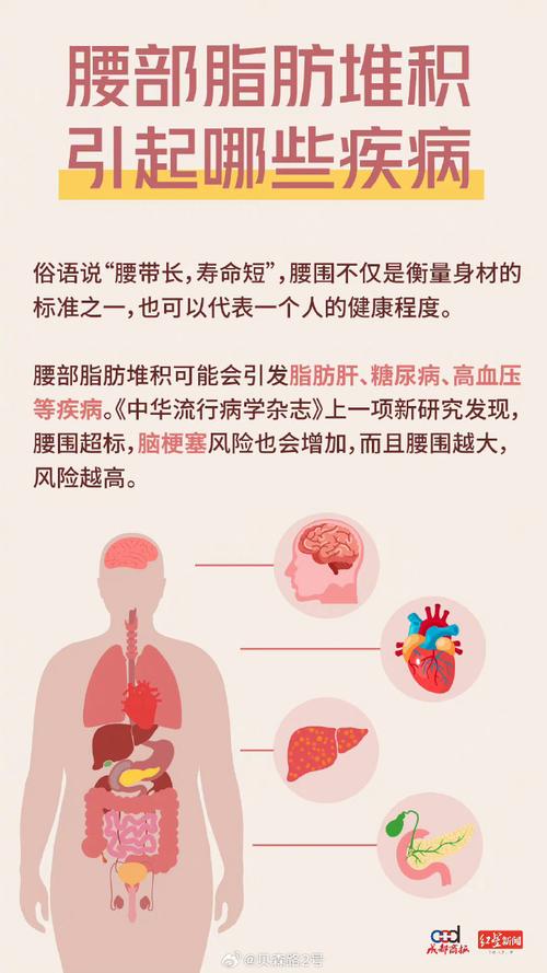 腰围超过109厘米，难道真的会缩短寿命吗？