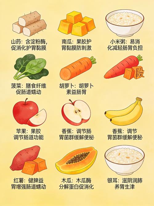 哪种食物最适合帮助我清理肠胃？