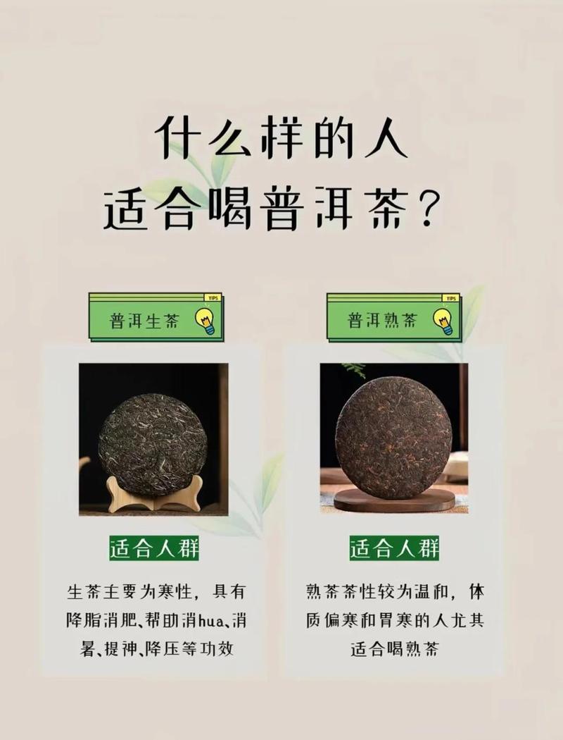 普洱茶真的能帮助减肥吗？权威专家解读揭秘