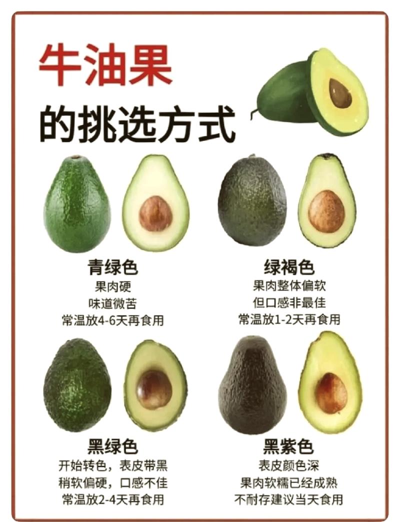 牛油果真的会让人发胖吗？盘点关于牛油果的四个谣言真相如何？