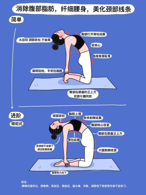 每天晨起做两个伸展运动，真的能轻松变瘦吗？