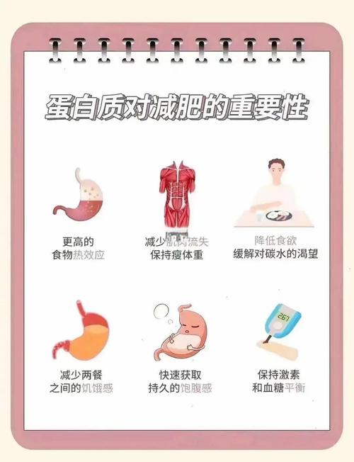 蛋白质摄入与肥胖之间是否存在某种关联？