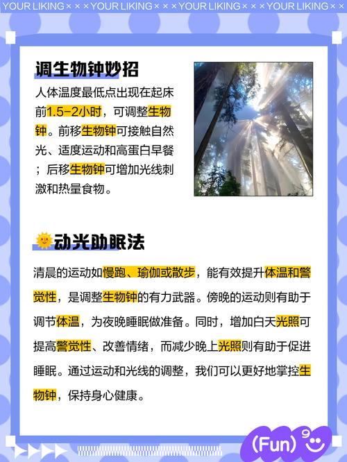 如何同过调整生物钟来有效促进脂肪燃烧的小技巧？