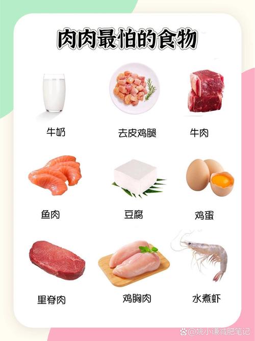 吃负卡食物饱腹真的能减肥，还能让效果翻倍吗？