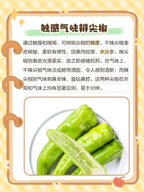 辣椒真的有减肥效果吗？为什么网上都说它没有？