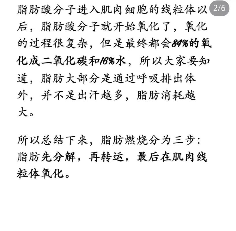 如何快速有效地让肚子脂肪燃烧的方法有哪些？