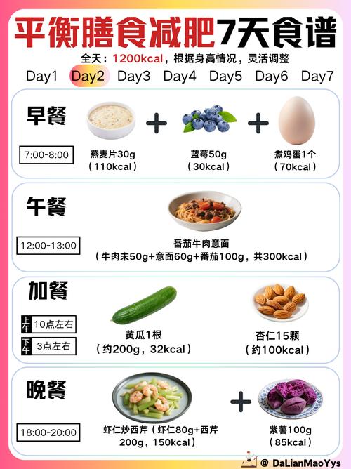 如何通过补充4种必需营养素，让我的减肥速度更快？