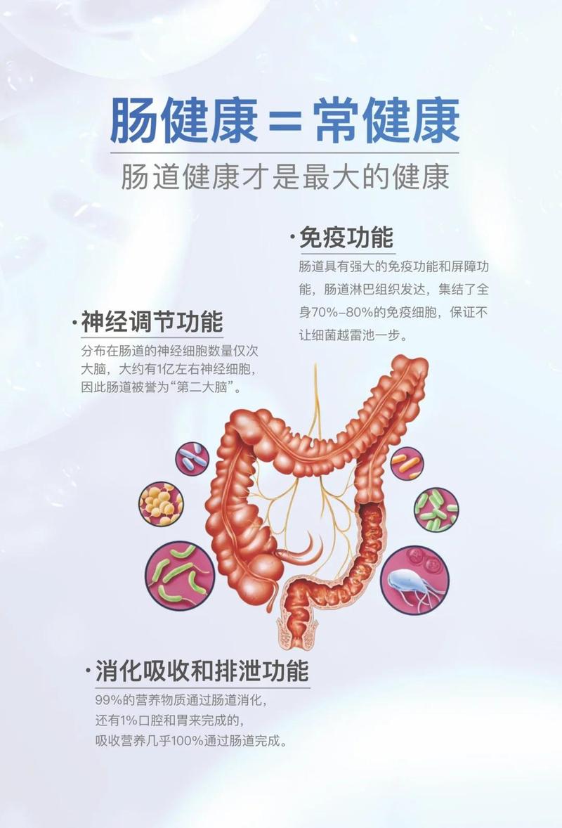 改善肠道环境，难道不是决定减肥能否成功的关键因素吗？