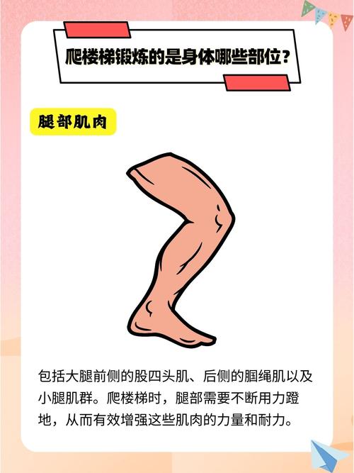 每次爬楼梯不超过10分钟，这样的习惯健康吗？