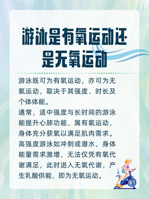 每天只需五分钟，能否让我摆脱游泳圈困扰？