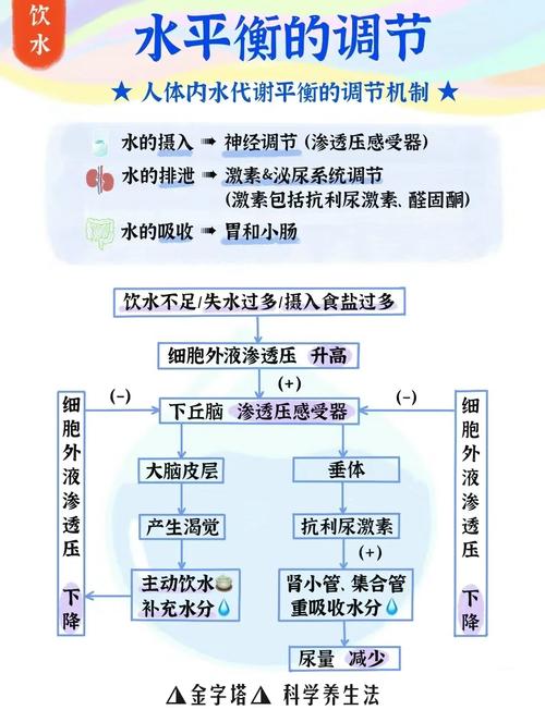 在水中添加什么成分能轻松减肥并有效预防癌症呢？